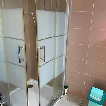 Le Chardon Lorrain Appartement Nancy